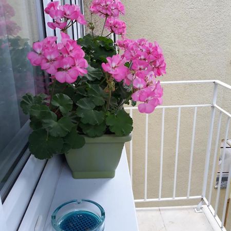Zenit Apartman Makó Extérieur photo